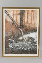 C A BROWN (20TH CENTURY) 'Wandlebury' woodland stream coloured etching, 1/50, signed in pencil