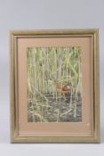 NORMAN ARLOTT (1947-2022) 'Corncrake' watercolour, label verso, 31 x 22.5cm