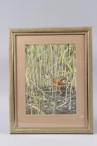 NORMAN ARLOTT (1947-2022) 'Corncrake' watercolour, label verso, 31 x 22.5cm