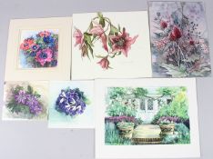 NICOLETTE SAVAGE (20TH CENTURY)) Five botanical studies, watercolours and a coloured print of a