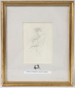 ARCHIBALD THORBURN (1860-1935) pencil sketch of Kingfishers, 14 x 10cm