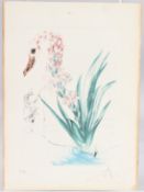 SALVADOR DALI Polyanthus and Swan, colour drypoint print and heliogravure, signed in pencil and