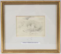 ARCHIBALD THORBURN (1860-1935) pencil sketch of a bird's nest, 10 x 14cm