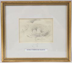 ARCHIBALD THORBURN (1860-1935) pencil sketch of a bird's nest, 10 x 14cm