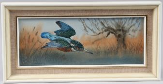 ROBIN GIBBARD (1930-2014) Kingfisher in flight, watercolour, signed and dated '71 artists label