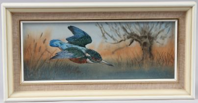 ROBIN GIBBARD (1930-2014) Kingfisher in flight, watercolour, signed and dated '71 artists label