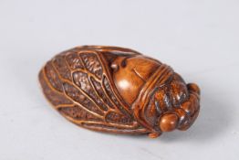 A CARVED WOOD FLY. 3ins.