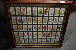 Two sets of cigarette cards, framed and glazed and a small painting.