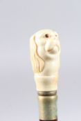 A WALKING STICK with a carved bone dog's head.