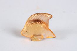 A LALIQUE ANGEL FISH.
