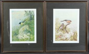 ARCHIBALD THORBURN Bullfinches and Redstarts, pair of coloured prints, each signed, 28.5 x 21.5cm
