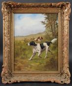 WILLMAN Hounds on a scent, oil on canvas, signed, 34 x 26cm