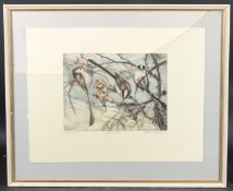 DAVID KOSTER (20TH CENTURY) 'Longtailed Tits' coloured etching, artist's proof, annotated and signed