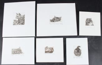 NICOLETTE SAVAGE Six small etchings of cats and kittens, all signed, inscribed and numbered in
