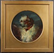 19TH CENTURY SCHOOL Study of a terrier dog, oil on board, circular mount, diameter 26.5cm