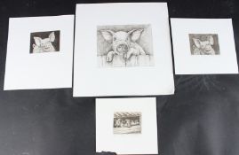 NICOLETTE SAVAGE four small etchings of pigs, two signed and inscribed in pencil, 14 x 17cm (to