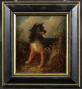 GEORGE ARMFIELD (1808-1893) Terrier dog amongst grassland, oil on board, signed, 16 x 14cm