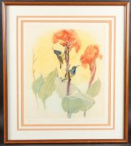 DAVID KOSTER (20TH CENTURY) 'Yellow crested Sun Bird' colour print, 4/75 annotated and signed in