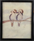 CIRCLE OF NEVILLE CAYLEY Kookaburras on a branch, watercolour, signed with intials, 19 x 15cm