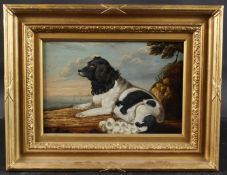19TH CENTURY SCHOOL Welsh Collie dog in a coastal landscape, oil on board, 19.5 x 29.5cm