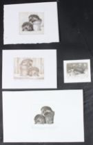 NICOLETTE SAVAGE Four small etchings of hedgehogs, all signed and inscribed in pencil, 7 x 9.5cm (to