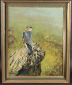 RICHARD B TRELEAVEN 'Adult Jack Merlin' oil on board, signed with artists labels verso, 49.5 x 39.