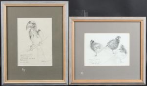 BRYAN HANLON (b.1956) 'Yellow billed Hornbill' 19.5 x 14cm and 'Pheasants' 13 x 18.5cm two framed