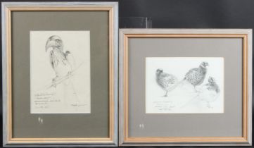 BRYAN HANLON (b.1956) 'Yellow billed Hornbill' 19.5 x 14cm and 'Pheasants' 13 x 18.5cm two framed