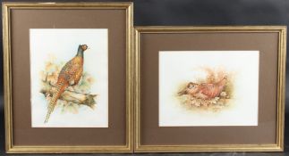 CHRISTOPHER HUGHES Woodcock and Pheasant, two watercolours, both signed, 23 x 30cm and 30 x 23cm (