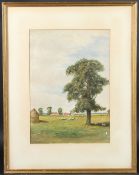 19TH CENTURY SCHOOL Landscape with farm buildings and grazing sheep, watercolour, reverse with label