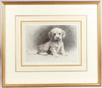 HERBERT THOMAS DICKSEE (1862-1942) Dandie pup, etching, later impression initialled in the print, 25