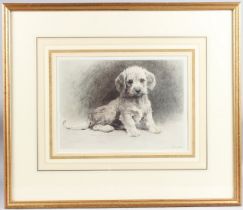 HERBERT THOMAS DICKSEE (1862-1942) Dandie pup, etching, later impression initialled in the print, 25