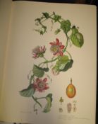 [BOTANY] MEE (Margaret) Flowers of the Brazilian Forest, lge folio, col. plates, blue cloth gilt,