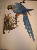 AMUCHASTEGUI (A.) Some Birds and Mammals of South America, lge folio, col. plates, blue cloth