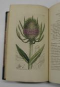 [BOTANY] a random collection of 70 h-col'd engr. plates after Sowerby, many with letterpress, 19th