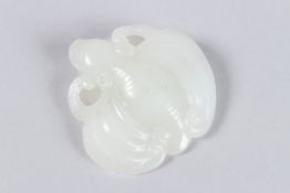 A CHINESE WHITE JADE CARVING OF A BEETLE with two pierced legs. 5cms long x 5cms wide. 85grams.