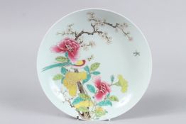A CHINESE FAMILLE ROSE PLATE with pink flowers. 8ins diameter.
