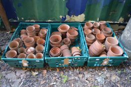 Large quantity of terracotta plant pots.