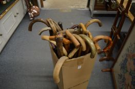 Quantity of walking sticks.