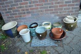 Quantity of plant pots.