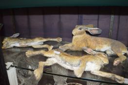 Sallie Wakley, two pottery wall plaques modelled as hares together with a recumbent model of a