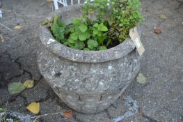 A set of three large reconstituted stone planters, complete with shrubs.