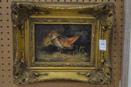 Study of a snipe, colour print in a decorative gilt frame.