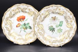 A PAIR OF FLORAL PLATES painted with poppies. 9ins diameter.