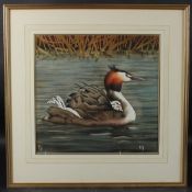 MODERN BRITISH Great Crested Grebe and young on the water, watercolour, signed with initials,