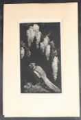 LIONEL LINDSAY 'Pheasant and wisteria' woodcut, signed in pencil bears original description and