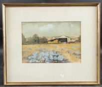 DOROTHY DEAN (20TH CENTURY) 'Hampshire Cabbage Field' gouache on paper, signed 16 x 23cm