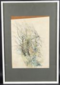 ANNE BARNHAM (20TH CENTURY) 'Tree Study' pencil and watercolour inscribed label verso, 49 x 35cm