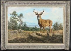 WILLEM STERNBERG DE BEER (b.1941) Stag in a mountain landscape, oil on canvas, signed, 50 x 75cm