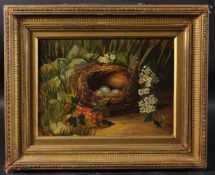 CIRCLE OF OLIVER CLARE Birds nest and flowers, oil on board, 18 x 25cm